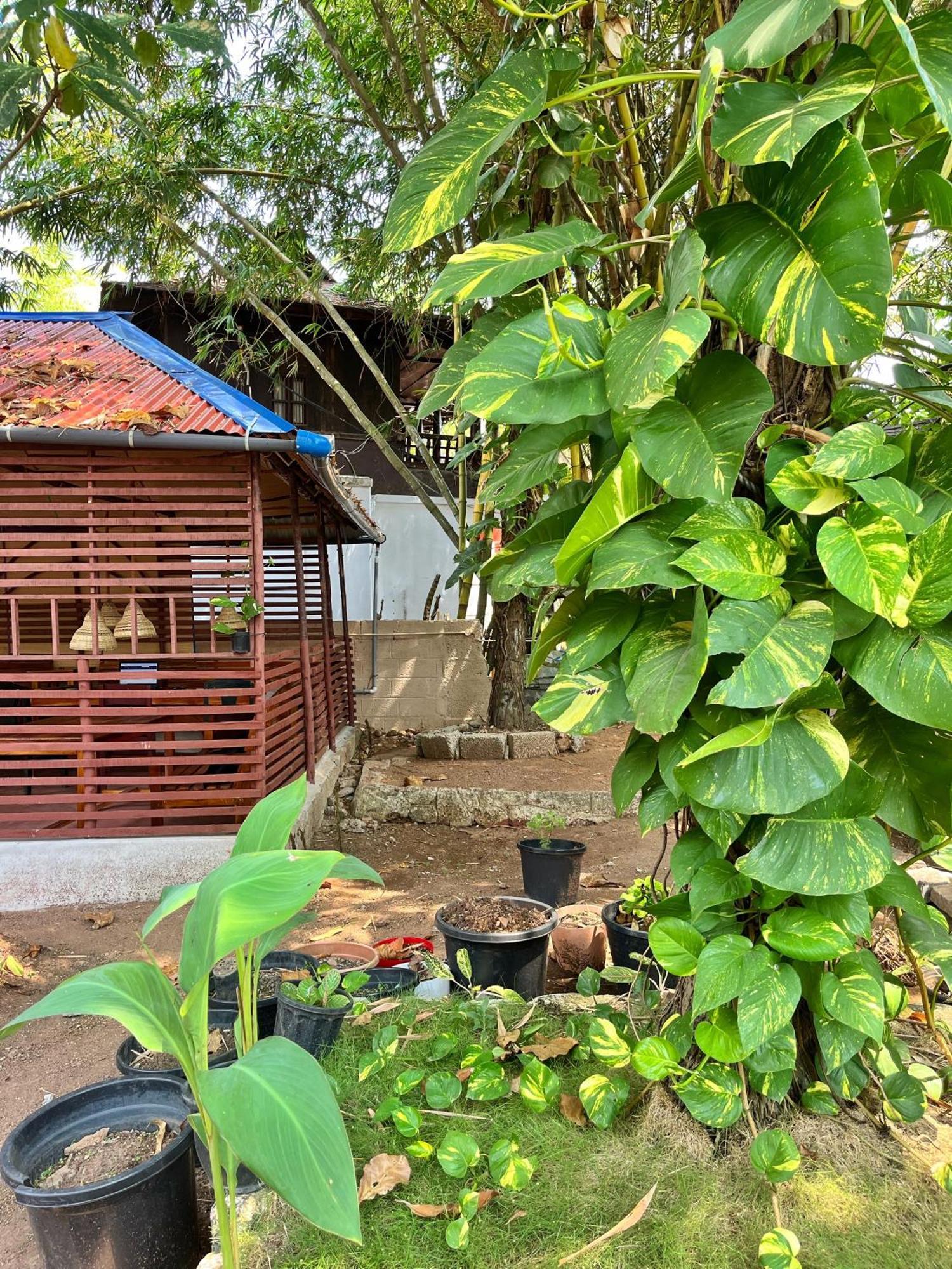 Bava Beach Resort & Retreat Center Varkala Esterno foto