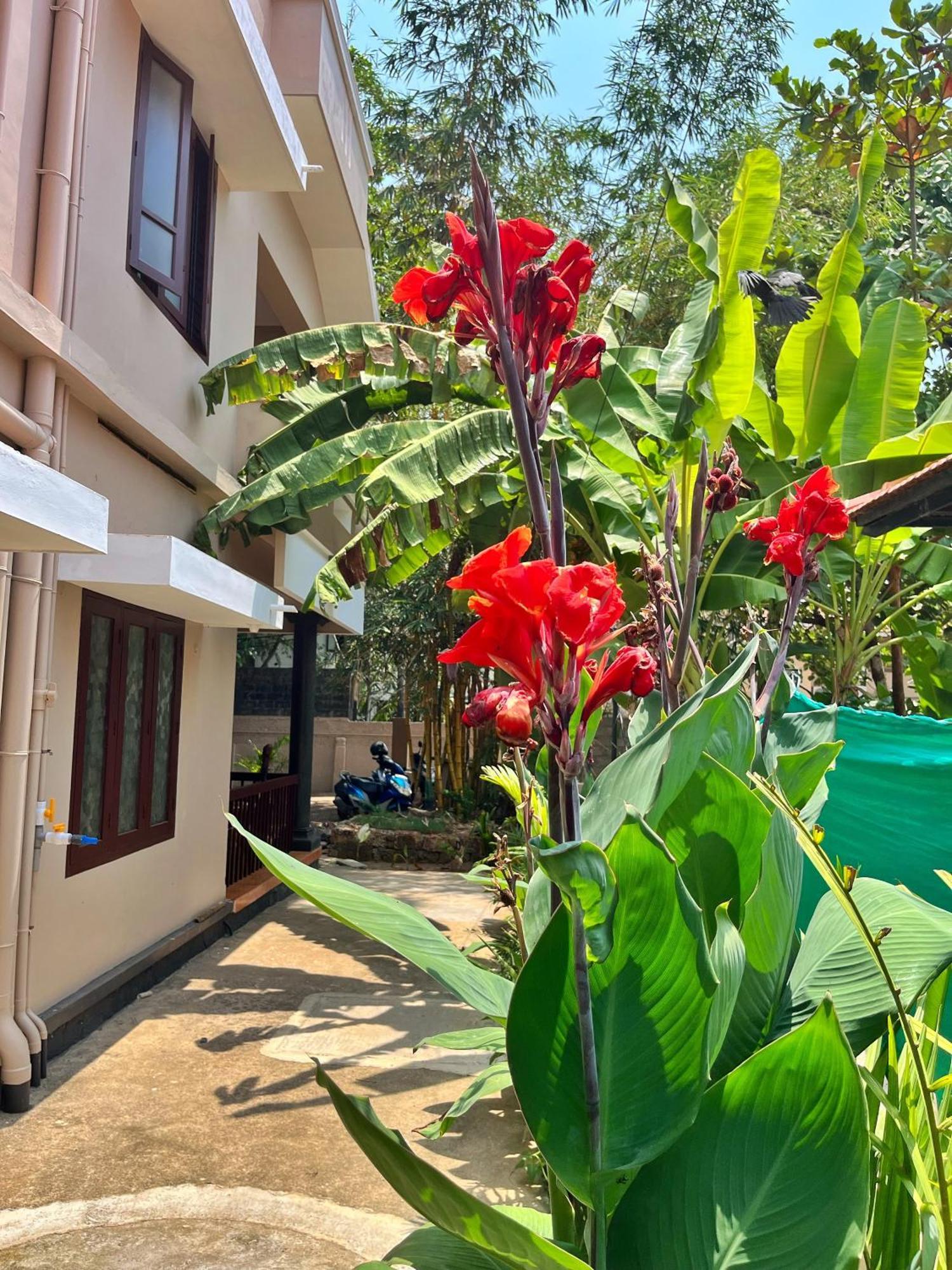 Bava Beach Resort & Retreat Center Varkala Esterno foto